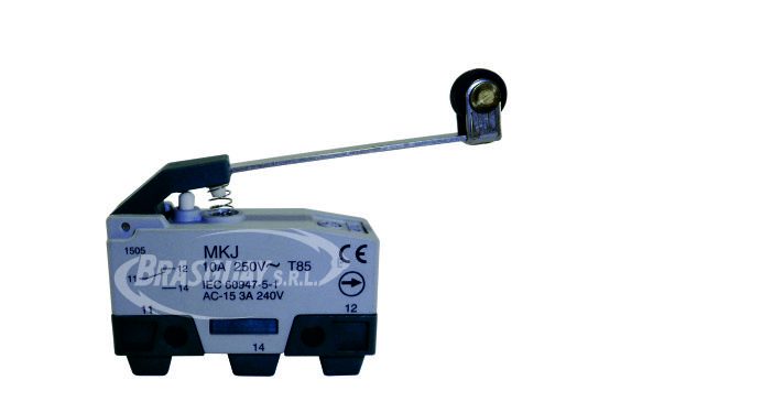 Micro Interruptor MKJ